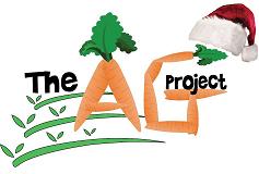 AG-Project-Santa-Hat-quarter-sized1.jpg